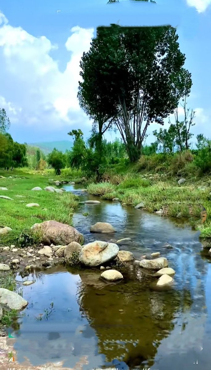 Beautiful Morning.
Beauty of our Village.
Soo fresh springs Water 💦