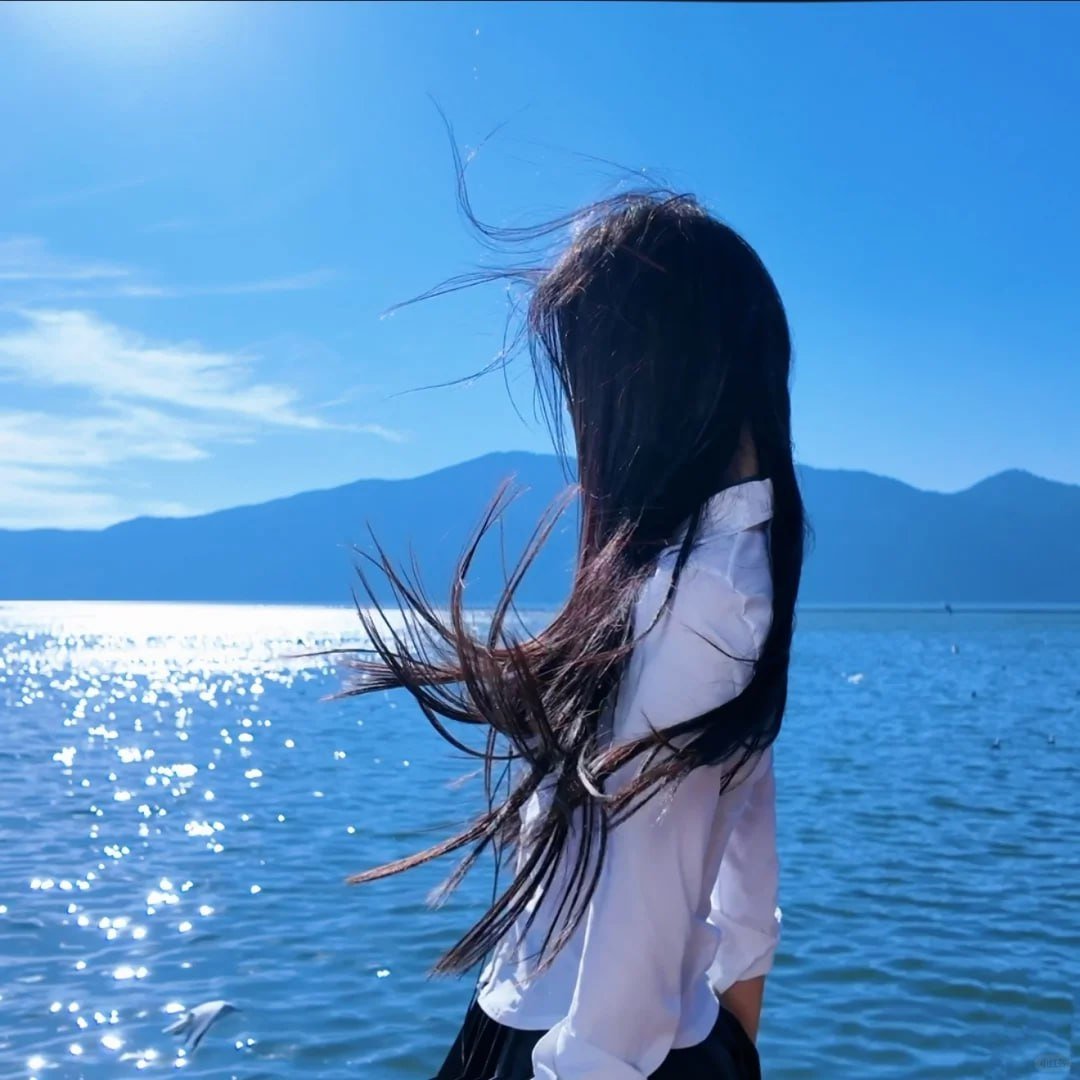 tanertopoglu's tweet image. 