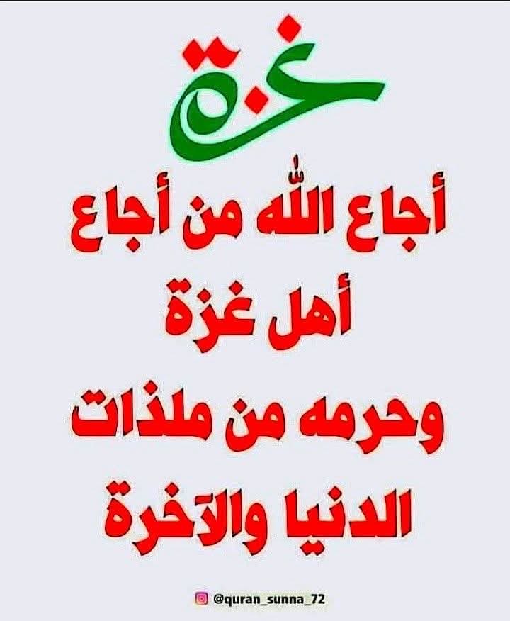 Ania El Afandi آنيا (@ania27el) on Twitter photo 