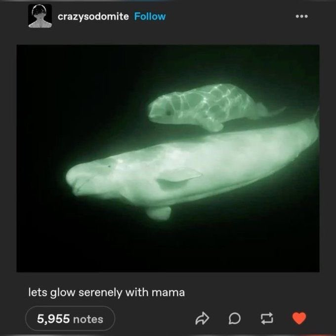 i'm sobbing audibly  under my weighted blanket . be radiant be heavy be green