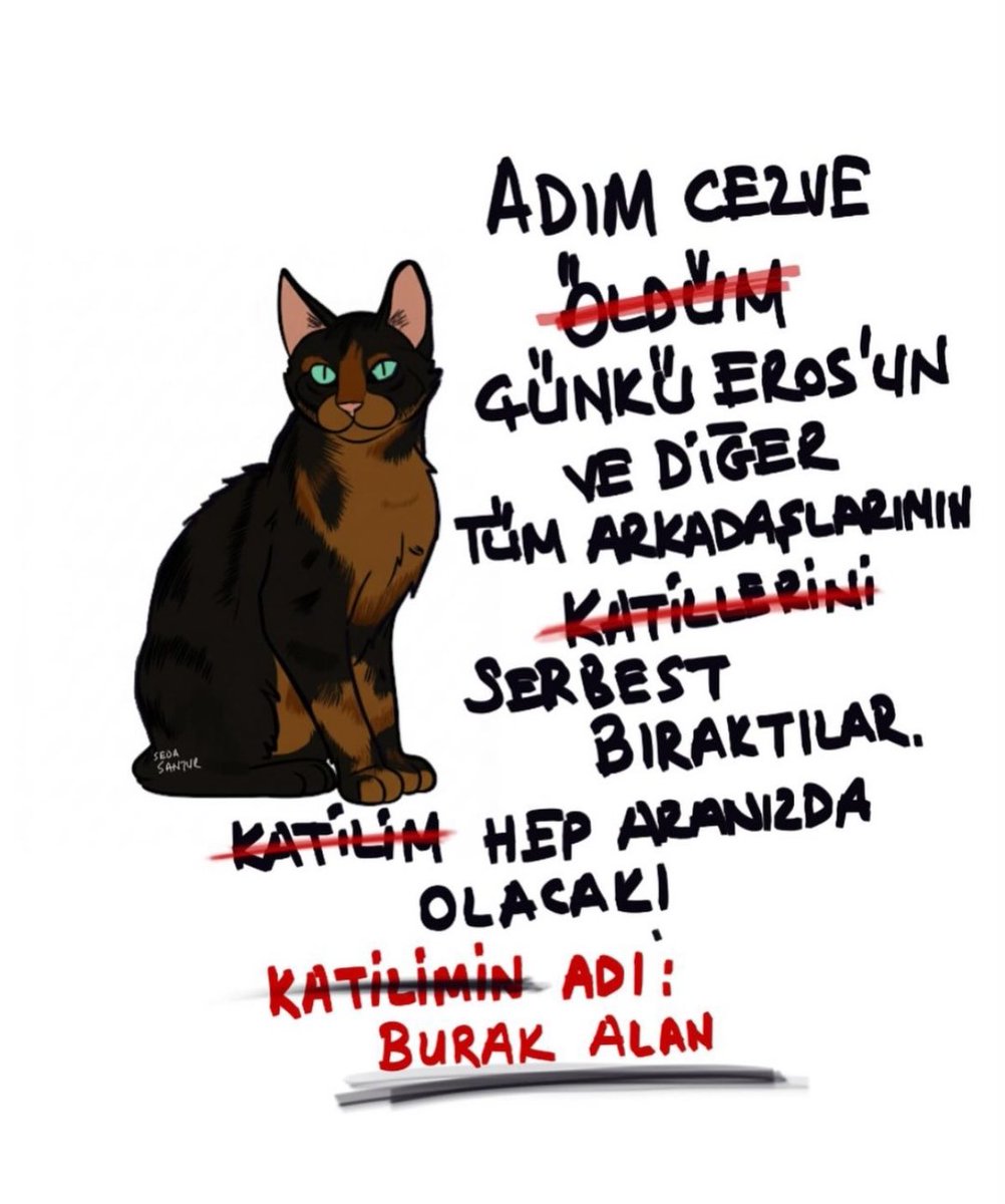 #cezveicinadalet 
#cezve