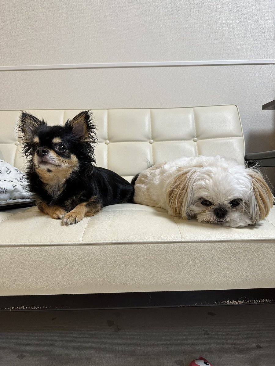 一緒にいてかわいい☺️