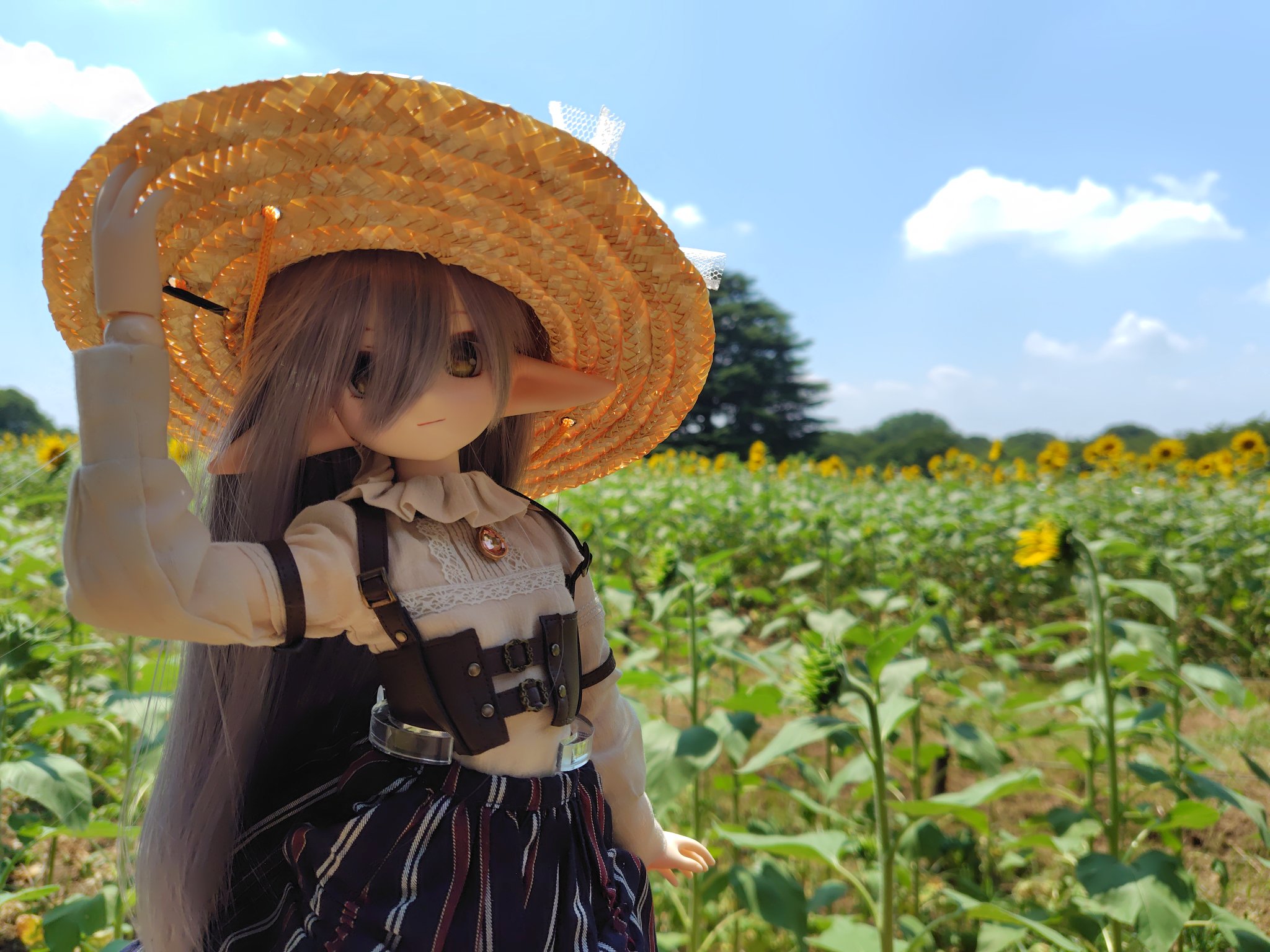 葉桜しいな on X: 