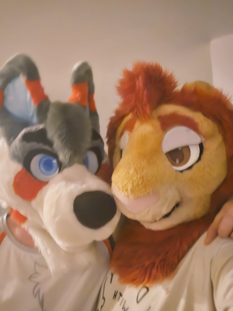 Abracadabra Lyan 🔜 FTM (@thelyanscott) on Twitter photo Been a while since I saw this big doofus! Hope you're all having a great weekend!
Yes even <a href="/BlizzTheWolf/">❄️ Blizz ❄️</a> !!! Been a while since I saw this big doofus! Hope you're all having a great weekend!
Yes even <a href="/BlizzTheWolf/">❄️ Blizz ❄️</a> !!!