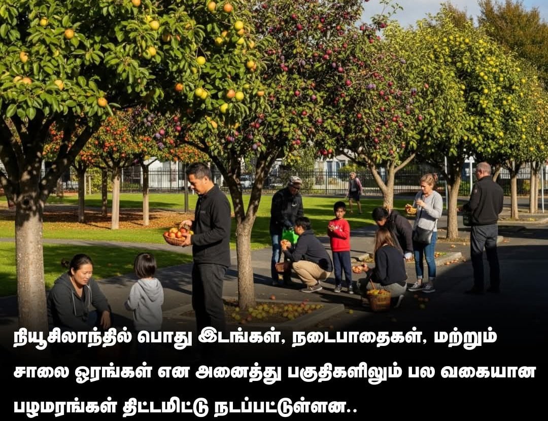 நியூசிலாந்தில் திட்டமிட்டு சாலையோரங்களில் நடப்படும் பல மரங்கள் #newzealand #fruits . முதியவர்கள் , குழந்தைகள் மற்றும் ஏழை மக்கள் பலன் பெற <a href="/mkstalin/">M.K.Stalin - தமிழ்நாட்டை தலைகுனிய விடமாட்டேன்</a> <a href="/CMOTamilnadu/">CMOTamilNadu</a> <a href="/Udhaystalin/">Udhay - தமிழ்நாட்டை தலைகுனிய விடமாட்டேன்</a> உங்கள் கவனத்திற்கு.  தமிழ்நாட்டில் இது போல் செய்யலாம்.