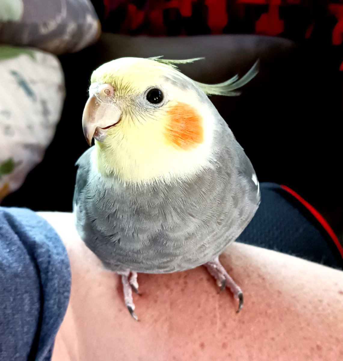 So my Hazel might actually be a male, atleast the names fairly natural lol but would explain alot