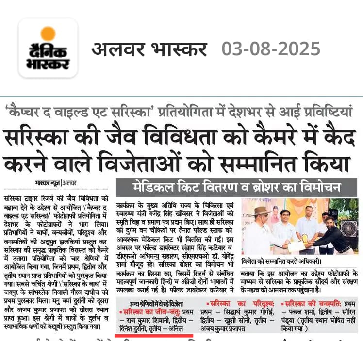 Got Award at Sariska Tiger Reserve in Capture the Wild Photography Competition under category Fauna of Sariska #Award #Sariska #AnilRodgers <a href="/RajGovOfficial/">Government of Rajasthan</a> <a href="/KumariDiya/">Diya Kumari</a> <a href="/BhajanlalBjp/">Bhajanlal Sharma</a> <a href="/byadavbjp/">Bhupender Yadav</a> #wildlifephotography