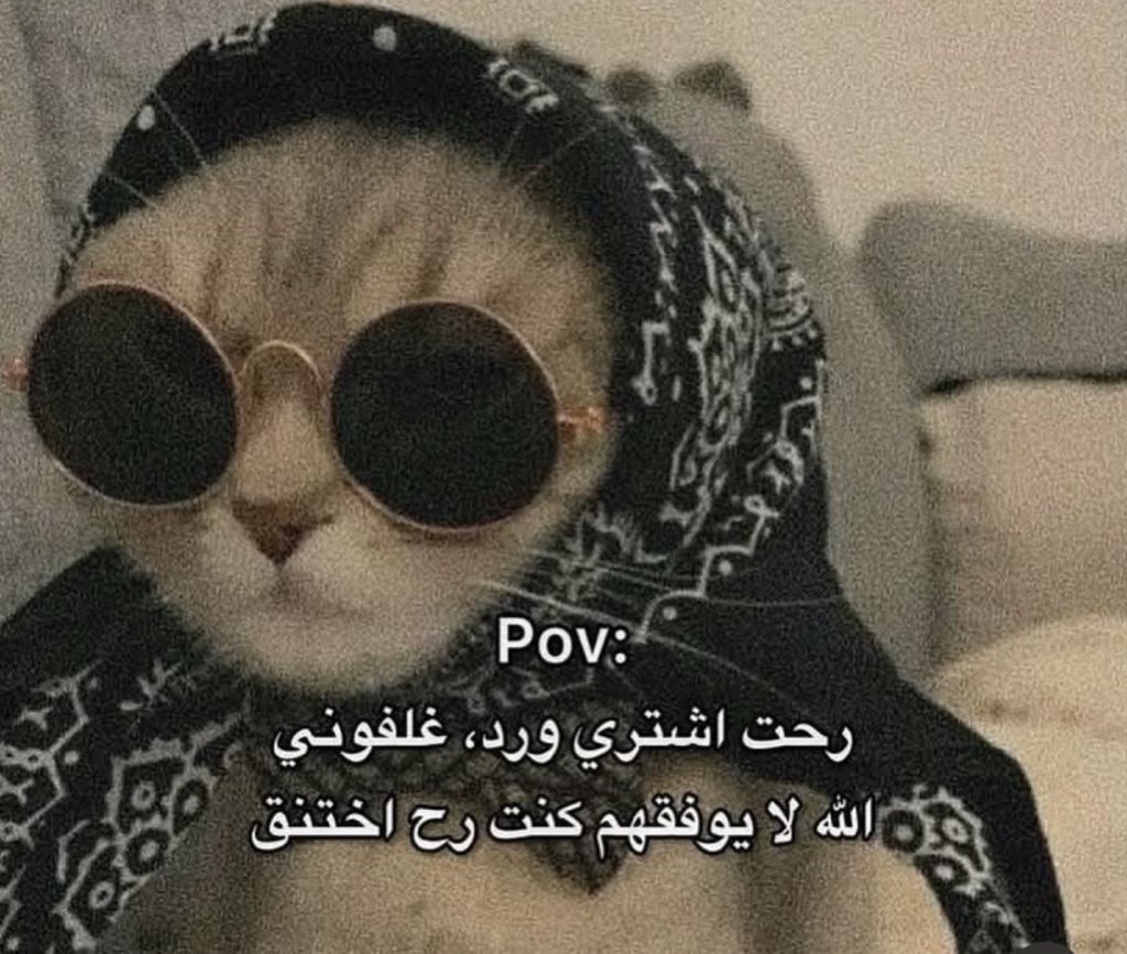 هل انت عبيط! |كود نايس ون Mo7 (@egyptianmemees) on Twitter photo 