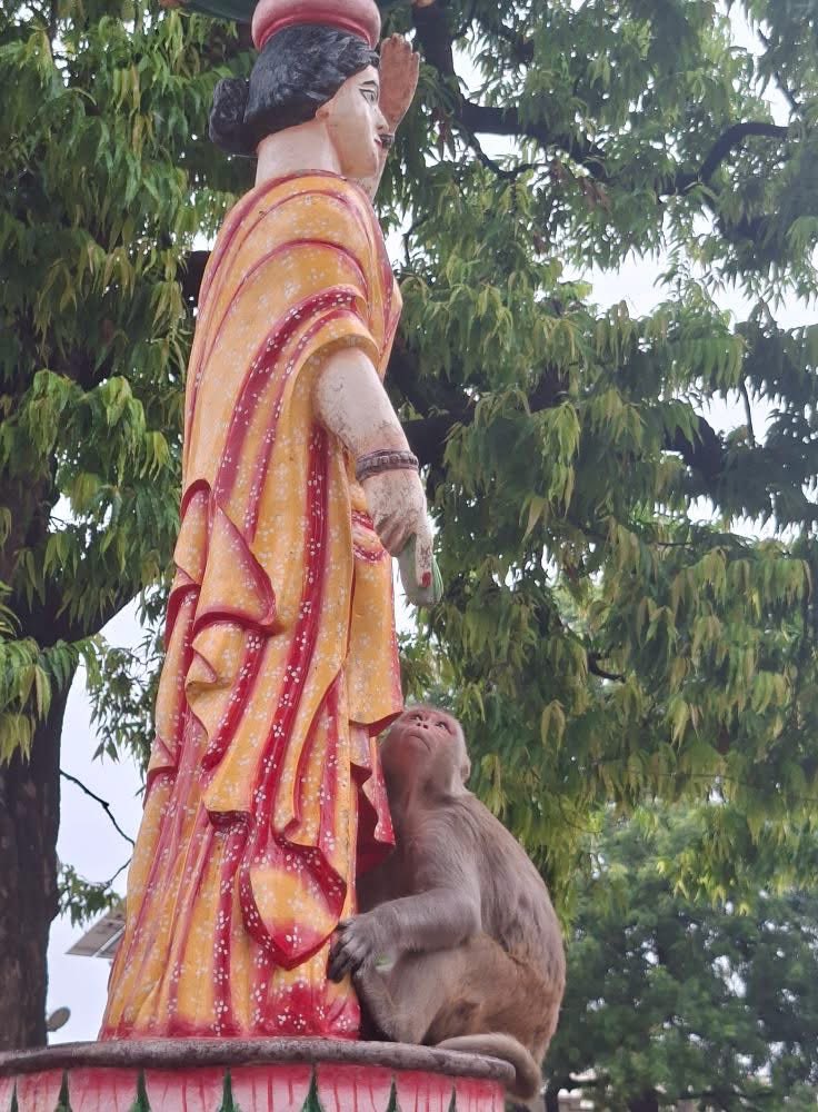 कनक भवन मंदिर का दृश्य है… ये भवन माता सीता को मुंह दिखाई में माता कैकई ने दिया था…

खैर अयोध्या जी में मेघ अपनी शक्ति दिखा रहे हैं। पूरी मानवीय व्यवस्था को शांत कर तीव्र स्वर में बस जल ही जल है।
                             तिस पर यह दृश्य.... देखिए कैसे भावपूर्ण दृष्टि से देख