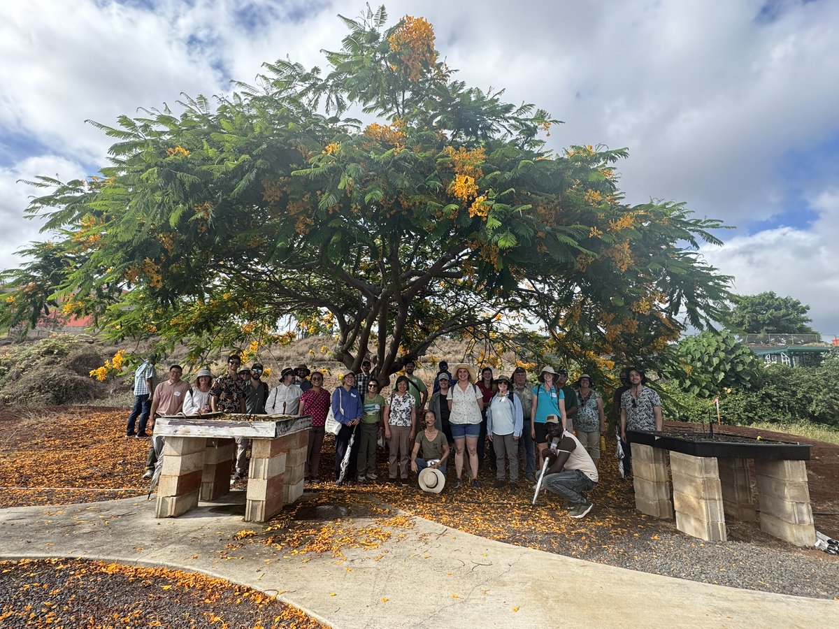 Alejandro Olmedo-Velarde tweet media