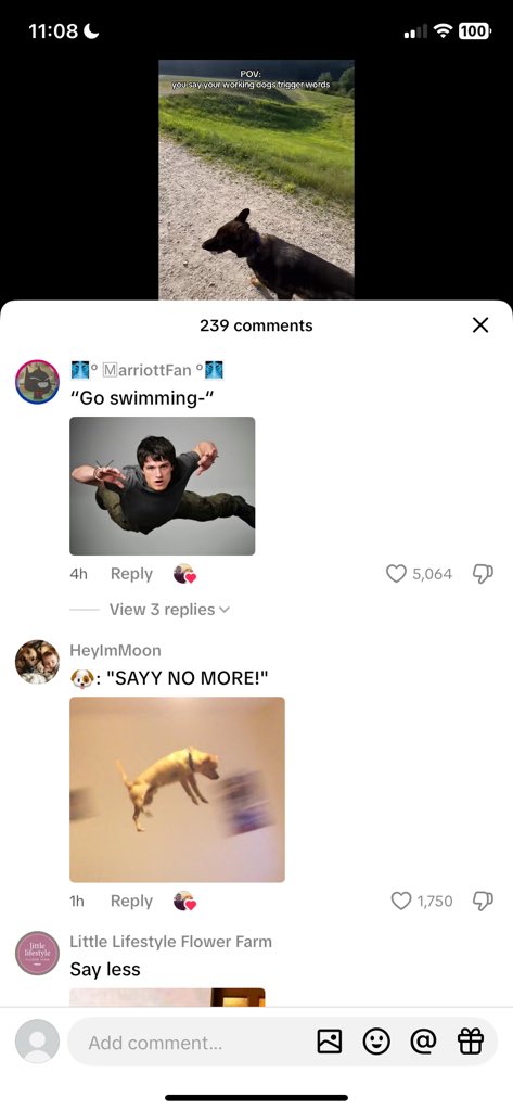 Tiktok is my new source to get memes