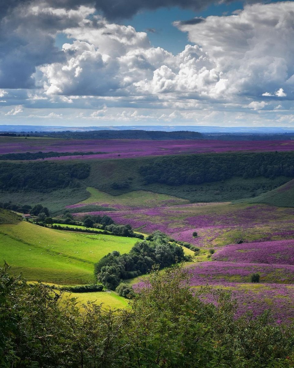One word that comes to mind when you think of the North York Moors?
