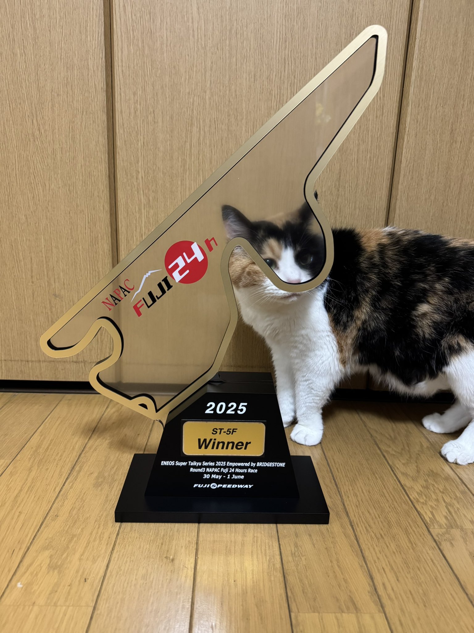 2024　1オンス　銀貨　特殊部隊　猫隊員　超入手困難！ PC10326