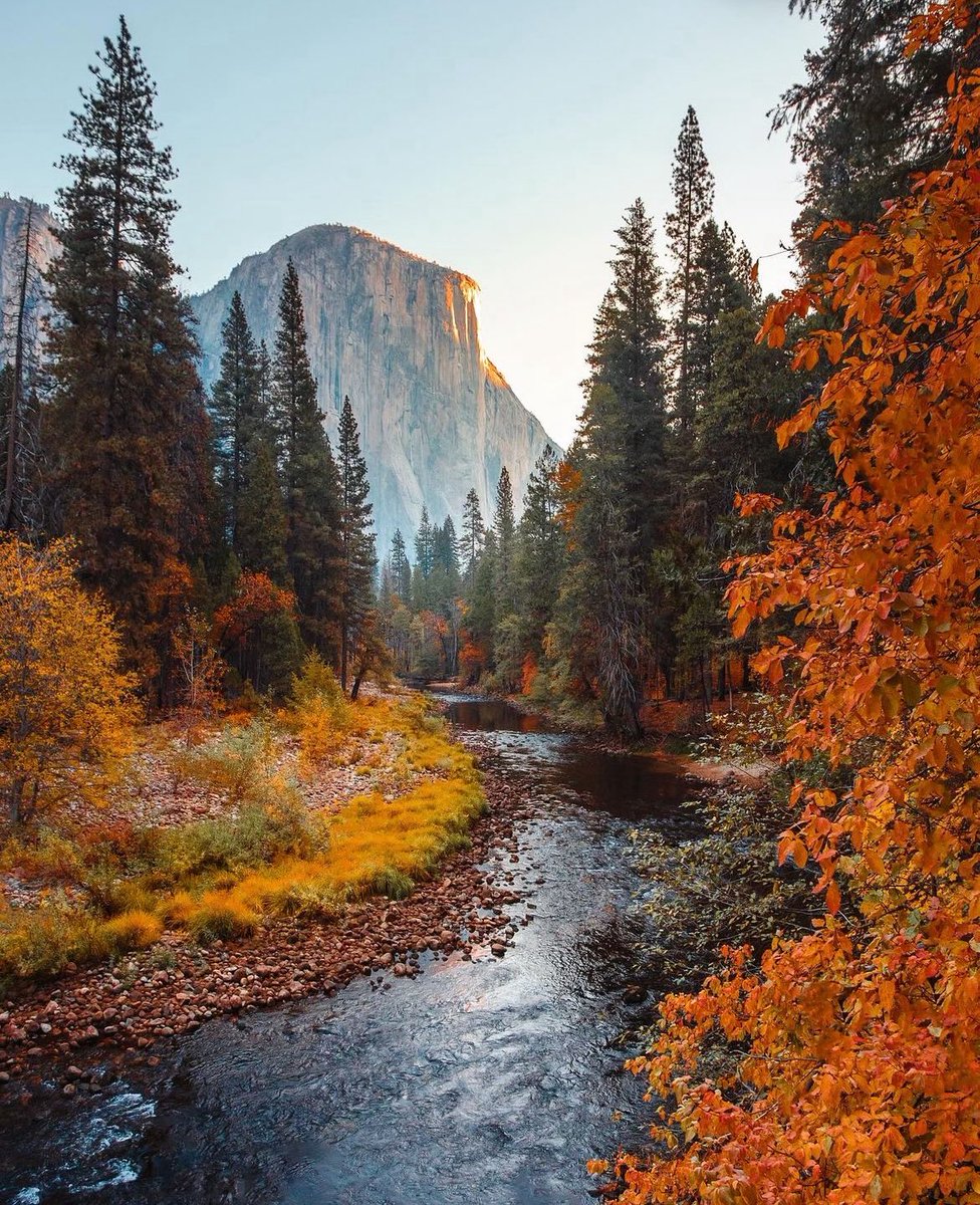 Fall in Yosemite Valley 🍂