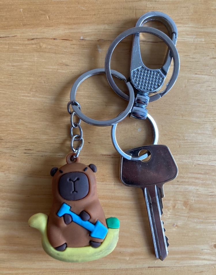 Figges Marsh junior parkrun (@figgesmarshjpr) on Twitter photo This poor capybara was separated from its owner during this morning’s junior parkrun. Is he yours? Drop us an email to figgesmarshjuniors@parkrun.com and we can reunite you 🫂
#figgesmarsh #lovejuniorparkrun This poor capybara was separated from its owner during this morning’s junior parkrun. Is he yours? Drop us an email to figgesmarshjuniors@parkrun.com and we can reunite you 🫂
#figgesmarsh #lovejuniorparkrun