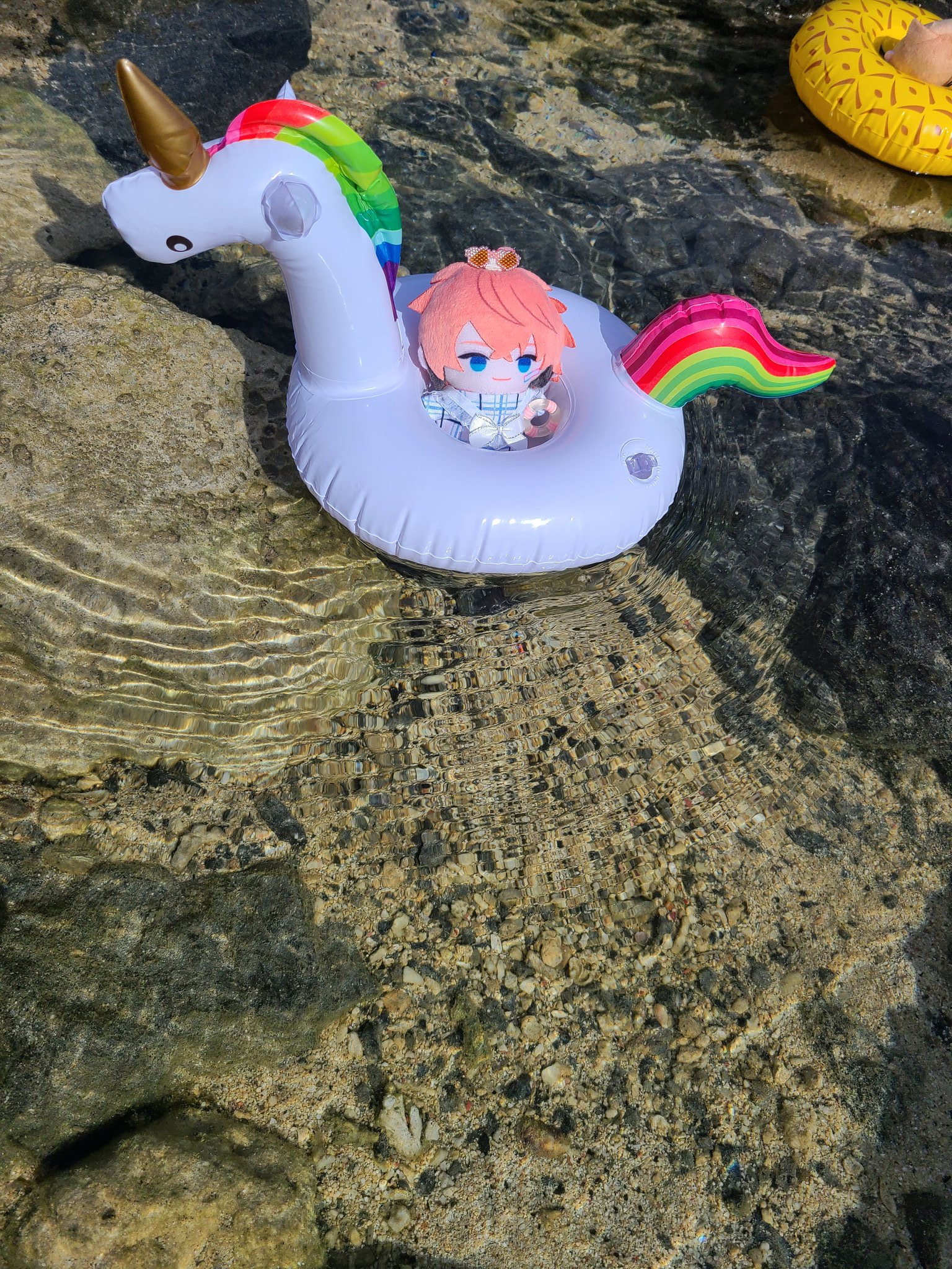 鳥刺し† on X: 