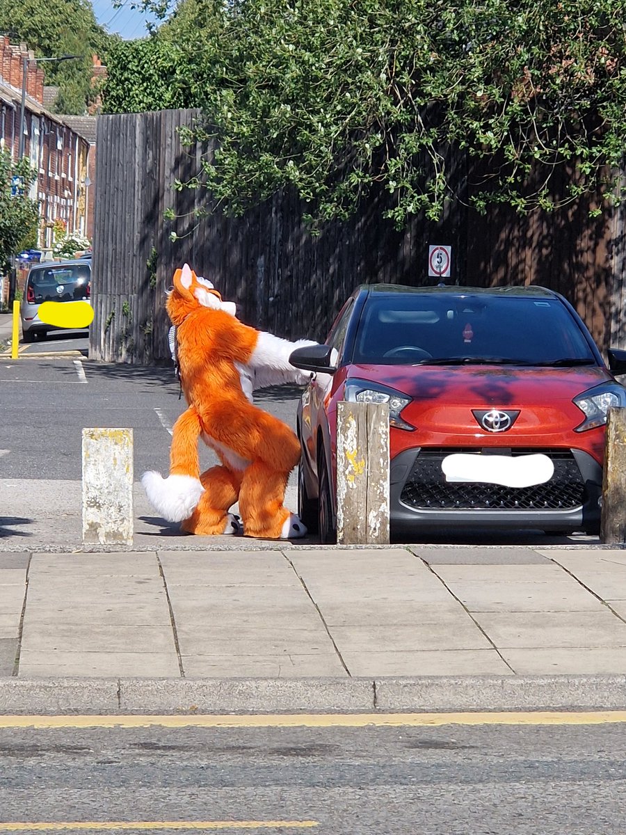 Joeey / Benji² tweet media