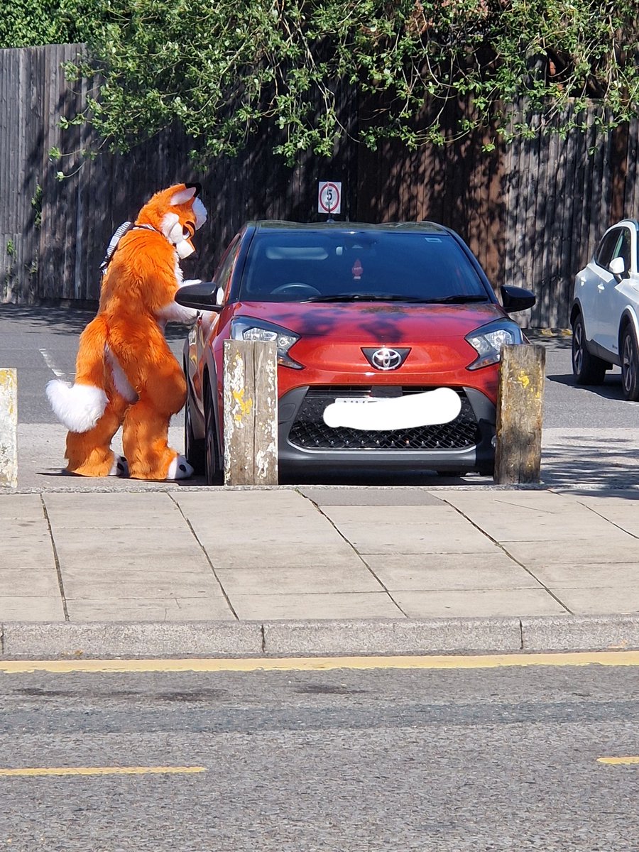 Joeey / Benji² tweet media