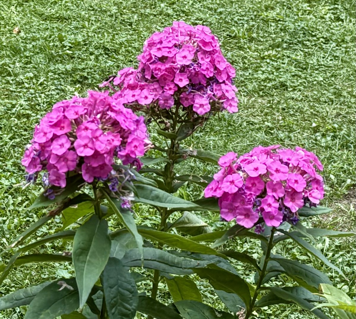 Good morning friends!💛