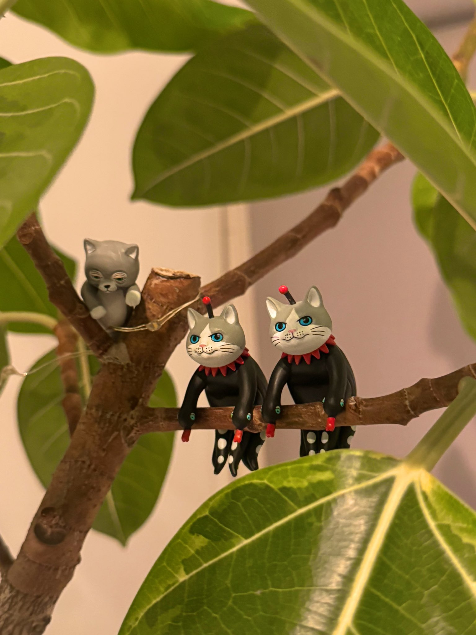 ヒグチユウコ♡スウェット♡植物展♡一つ目ちゃん トレーナー ひとつめちゃんと雲 – ボリス雑貨店