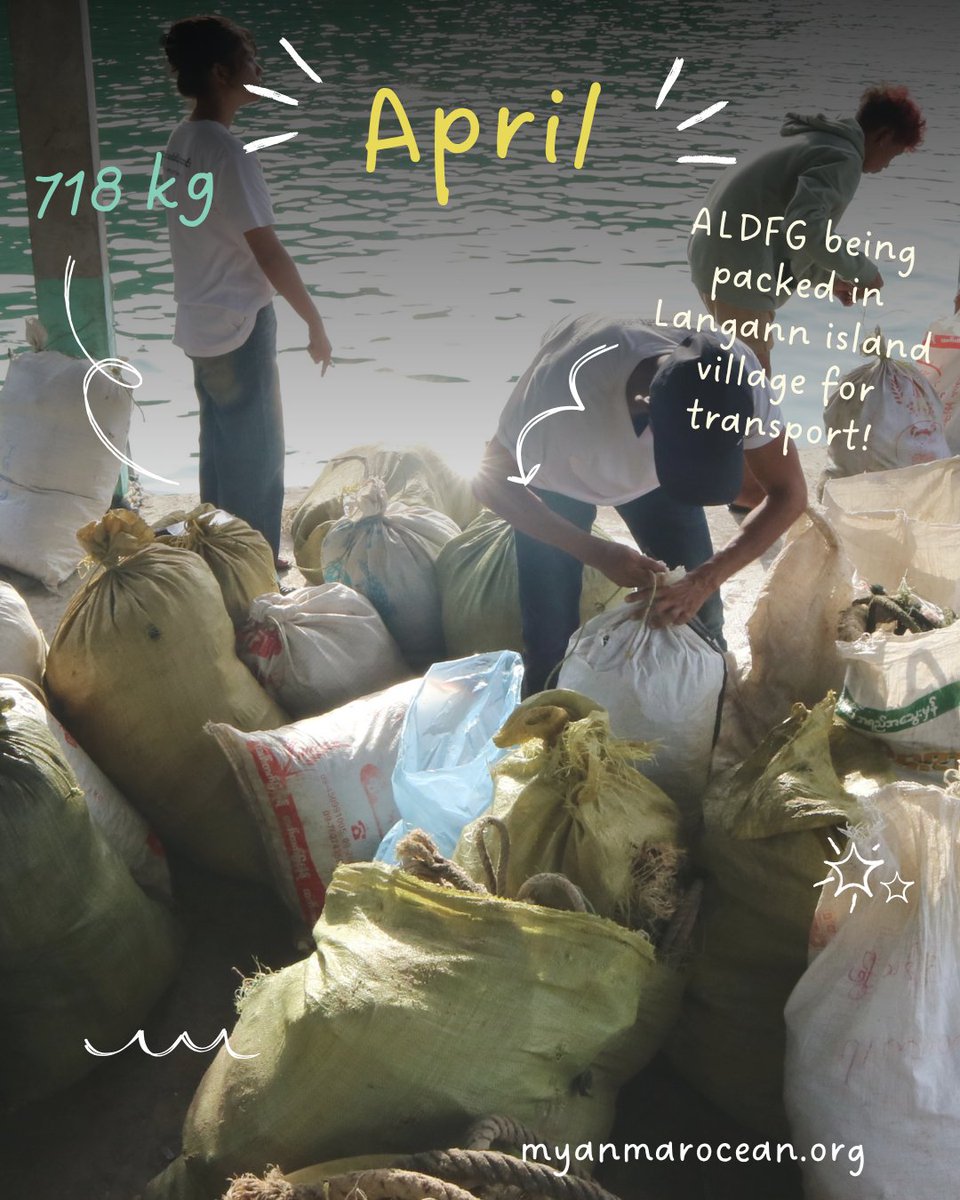 6 trips and nearly 7 tonnes of ghost gear gone. 🐟💪
With Langann Island community, we’ve made our biggest ALDFG removal yet—keeping harmful nets out of reefs, turtles &amp; mobula rays in Langann LMMA. 🌊💙
#OceanConservation #GhostGear #MyanmarOceanProject