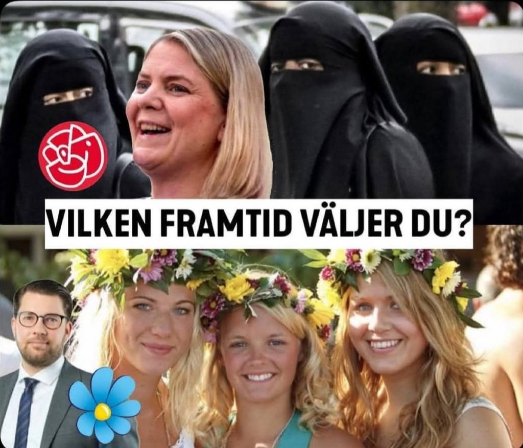 GoranGuran's tweet image. Denna bild kan delas, delas, delas fram till valet nästa år: