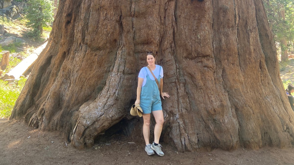 I communed with the trees in Sequoia National Park.
