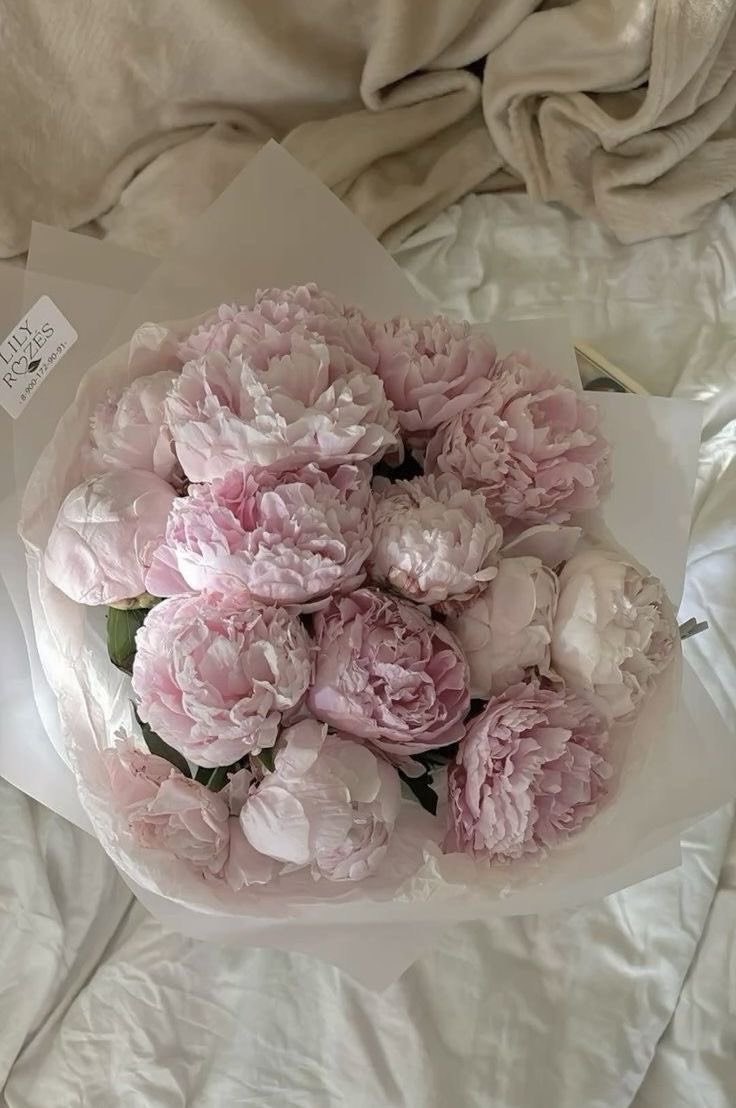 çiçek günlüğü (@cicekgunlugu) on Twitter photo 