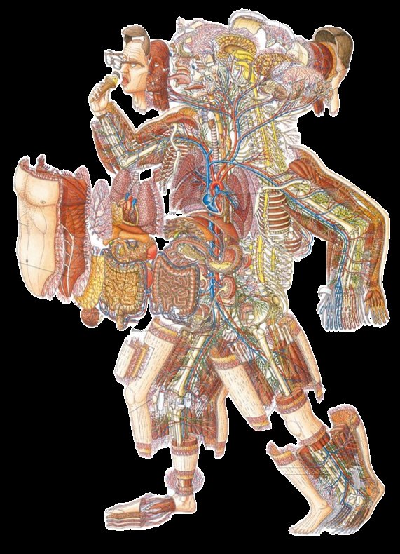 Daren Welsh tweet media