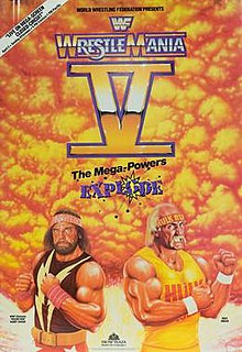 WWF Champion Randy Savage vs Hulk Hogan - WWF Wrestlemania 5 youtu.be/qUywIdnFnJA