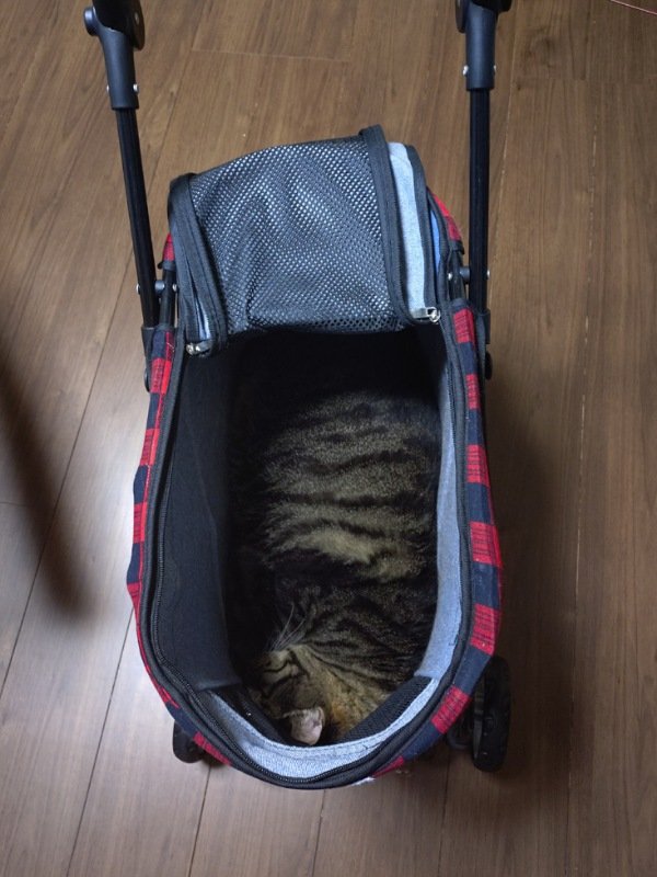 収まりが良い