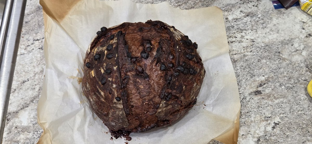 I think I burnt some chocolate and peanut butter chips on the top of my sourdough.