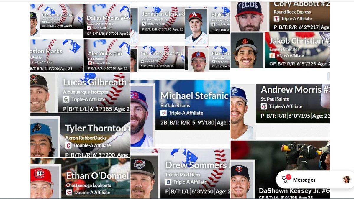 Cool "Collage" of 17 Former Birch Prospects Living the Dream of Playing Professional Baseball!
Thrilled And Proud Of You!