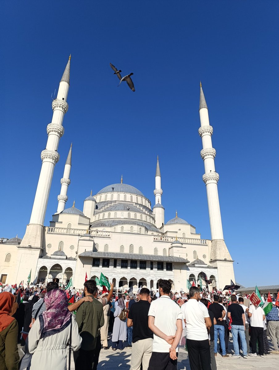 Uyanış olsun uyanmamış ruhlara.

#GazzeyeİnsaniKoridor