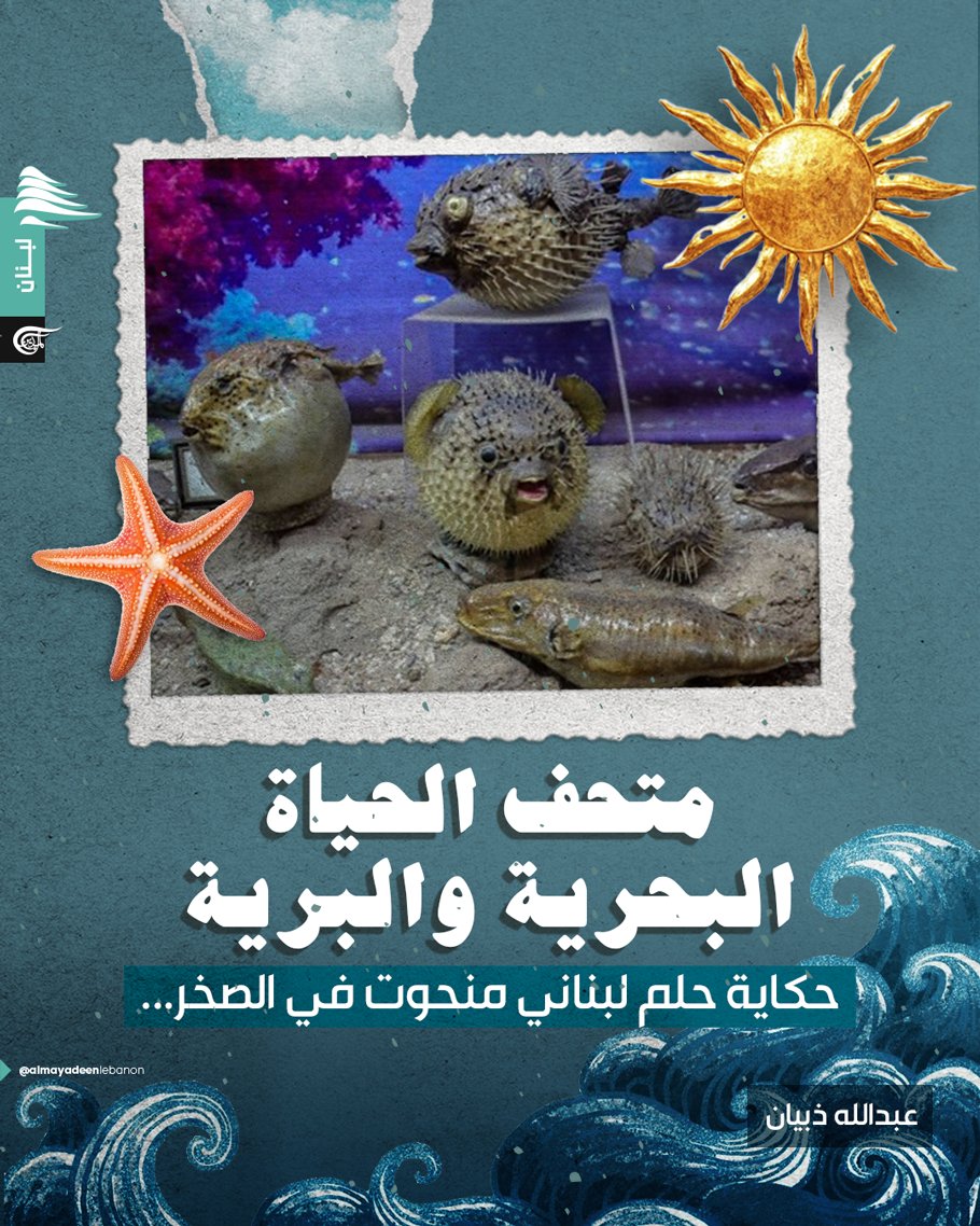 وسط آلاف المخلوقات المحنطة، تلمع سمكة شمس المحيط العملاقة ككوكبٍ ضائع من زمنٍ بحري قديم، توثق نُدرتها حضور لبنان البيئي النادر في سجلّات المتوسط والعالم.

تعرّفوا إلى متحف الحياة البحرية والبرية المحفور في صخر منطقة جعيتا👇

#لبنان 
#الميادين_لبنان 
<a href="/DebianAbdalla/">Abdalla Debian</a>