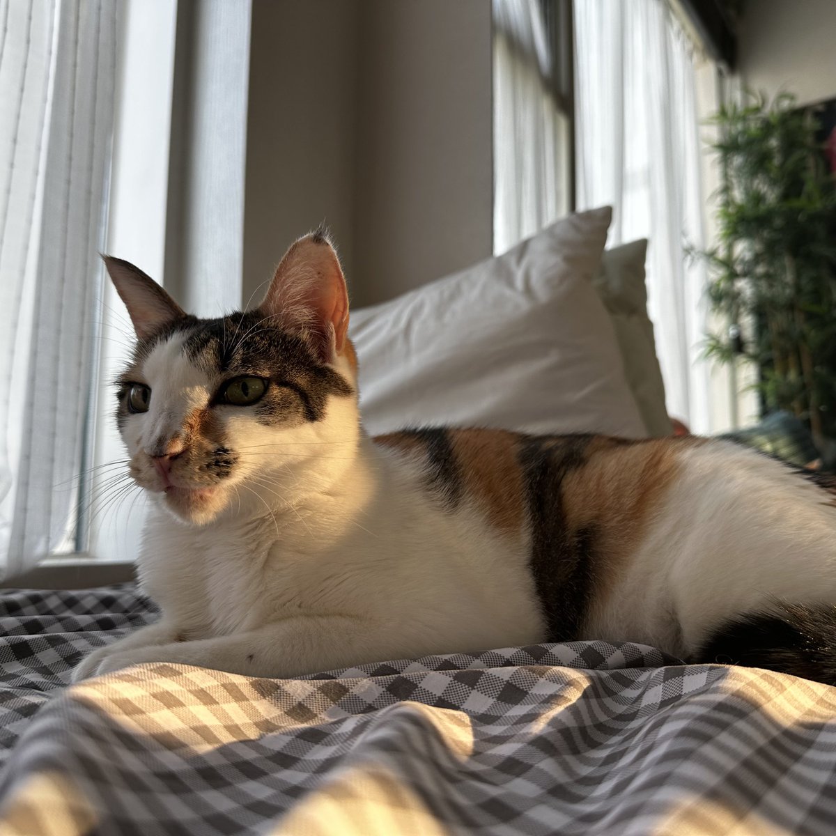 <브로드웨이 블루스>
22, 23, 24, 25 up✨

22편에는 일부 장면 수정이 있습니다 >.< (중간부터 새 장면이 들어가요)
기다려주신 분들 감사합니다!

내일도 올게요~!

tobe.aladin.co.kr/n/476701