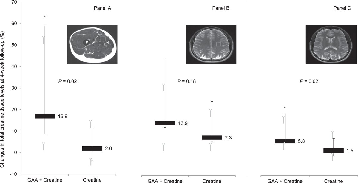 Creatine + guanidinoacetic acid raises muscle &amp; brain creatine significantly more than creatine alone.