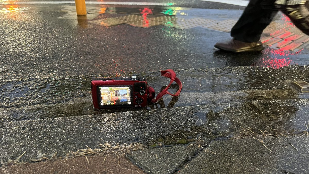 tope0131's tweet photo. 土砂降りの中いきなり水たまりにカメラを突っ込んで通行人を怖がらせましょう!🐬
#OMSYSTEM
#TG_7
#カメラ好きと繋がりたい
#ファインダー越しの私の世界
#キリトリセカイ https://t.co/2qWxu7mmUO