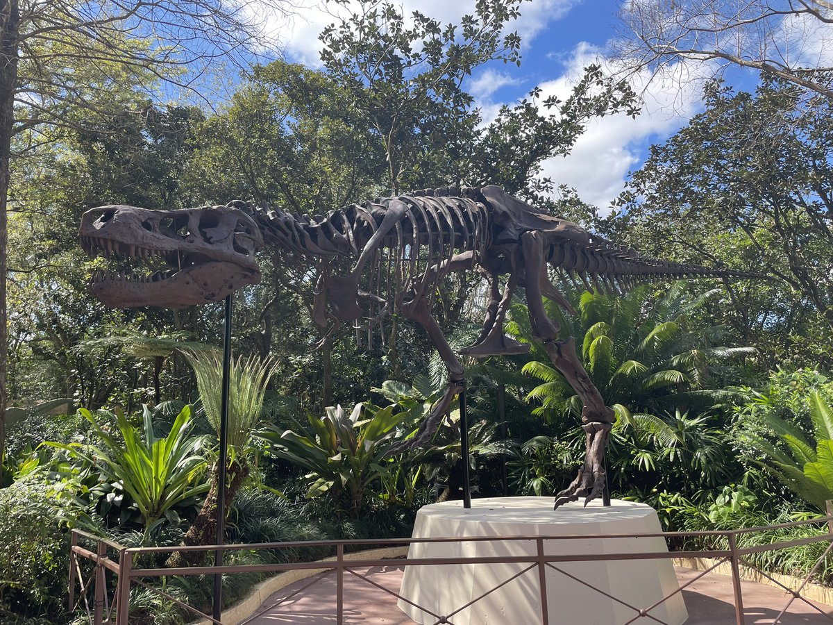 Blake Gordon tweet media