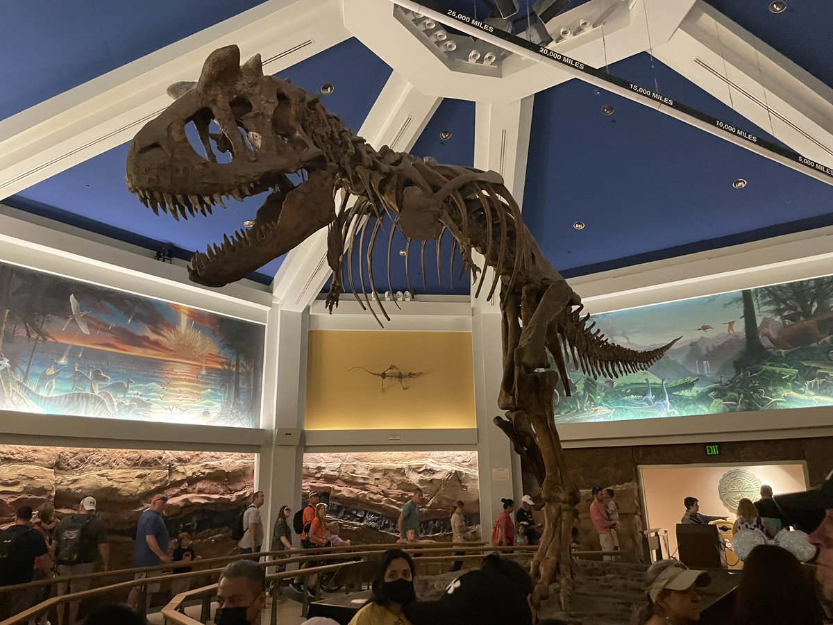 Blake Gordon tweet media