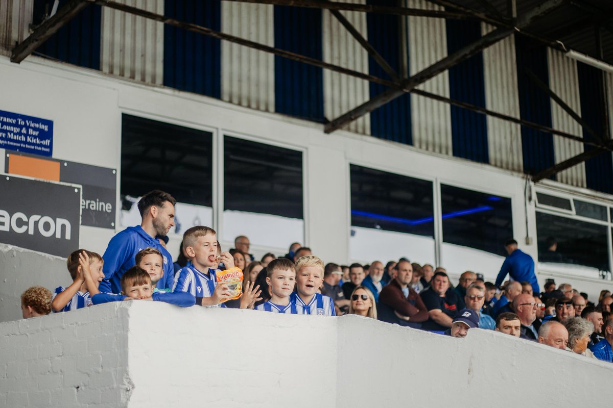 NI Football League tweet media