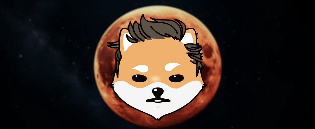 If you're in $ELON, congratulations! You've discovered the next Bitcoin among the millions of coins out there.

#dogelonmars 

I say this only because we will go to #2 in the world just behind BTC