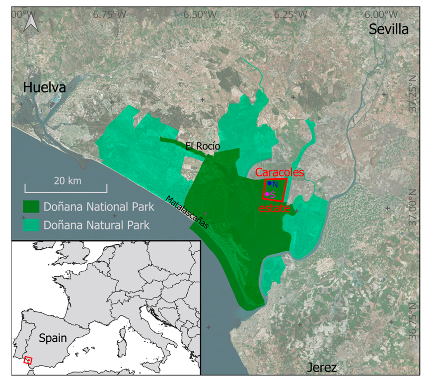 💧💧 Modelling #Water Depth, Turbidity and #Chlorophyll Using Airborne #Hyperspectral Remote Sensing in a Restored #Pond Complex of Doñana National Park (#Spain)

✍️ Cristina Coccia et al.
🔗 brnw.ch/21wUNXw
