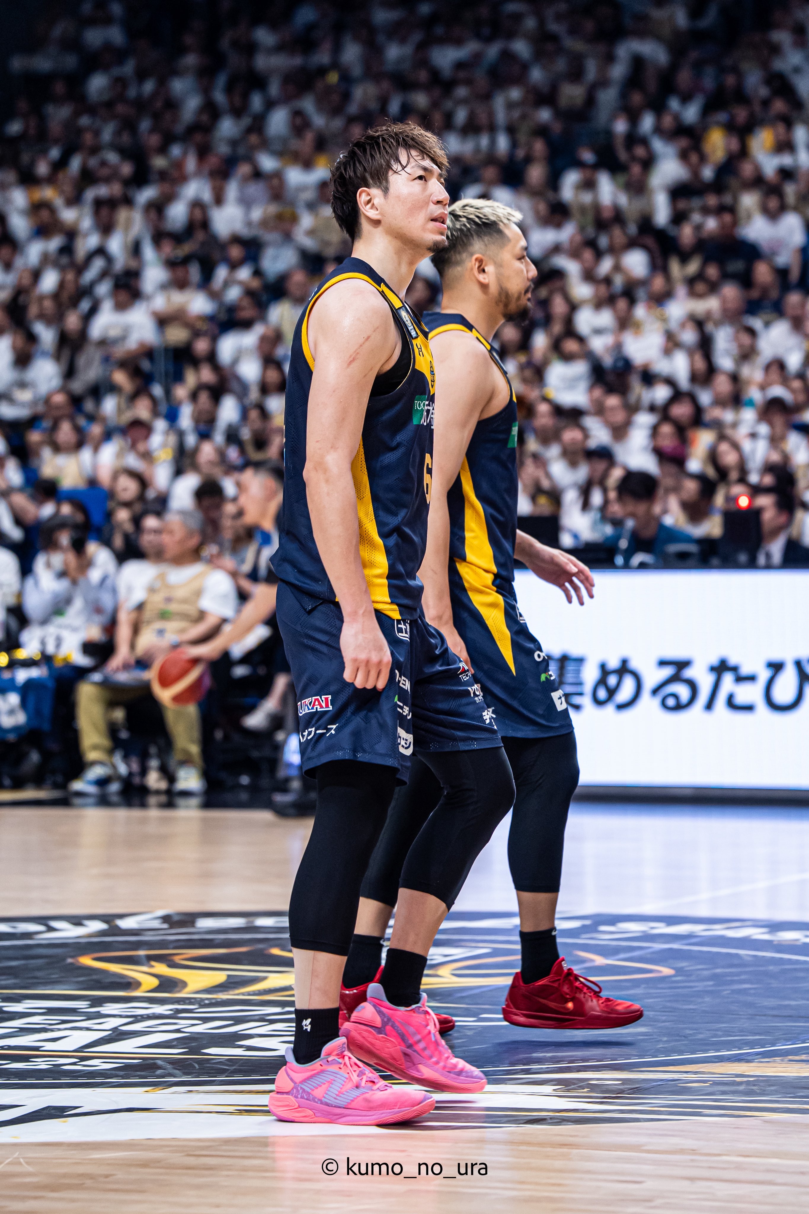 宇都宮ブレックス　比江島慎選手　抱っこちゃんクリップ 宇都宮ブレックス 2024-25選手抱っこちゃんクリップ 比江島慎