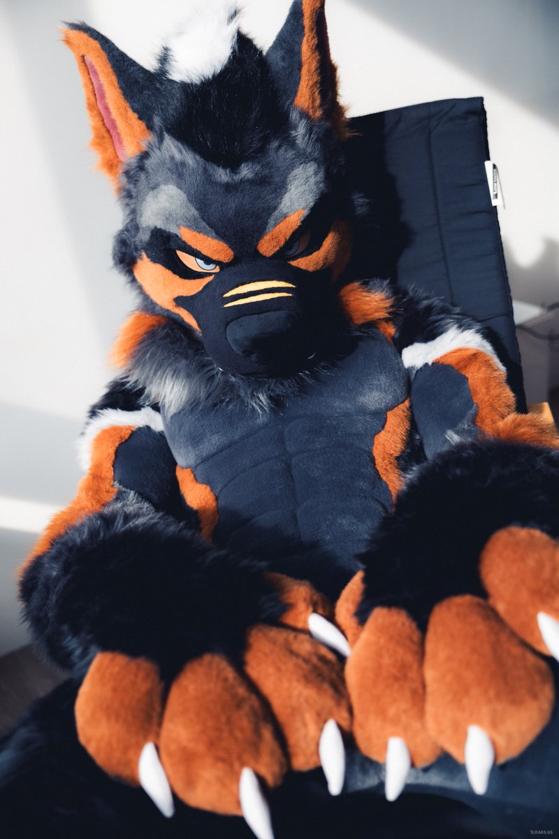AK-9 →Infurnity (@ak9_gs) on Twitter photo Should I move my hand away👀⁉️
📷<a href="/republicoframen/">QiuQiu</a> Should I move my hand away👀⁉️
📷<a href="/republicoframen/">QiuQiu</a>