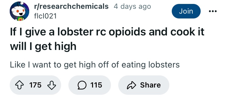 Asking the important questions