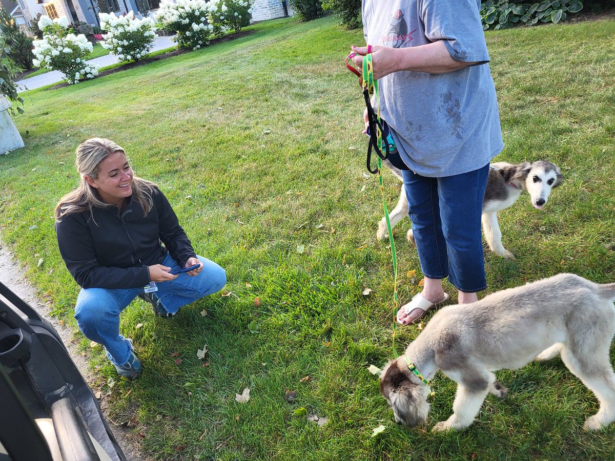 Mike MacAdam tweet media