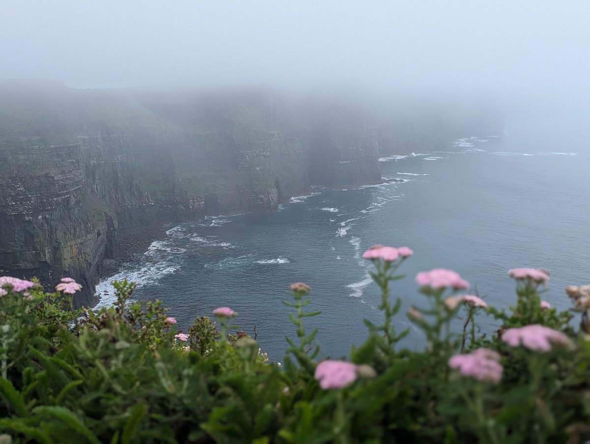 JSFILMZ0412's tweet image. touch grass they said #moher #Ireland