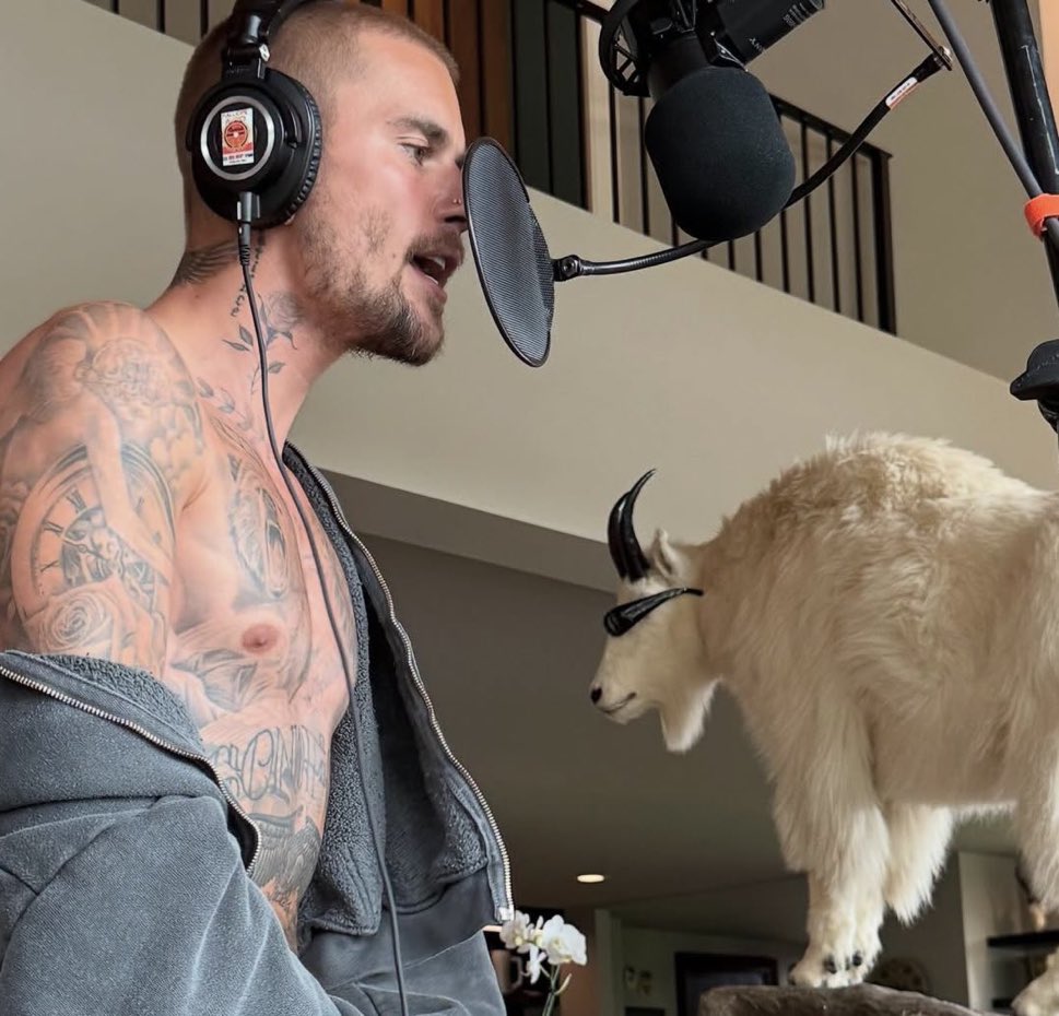 DAISIES by Justin Bieber.