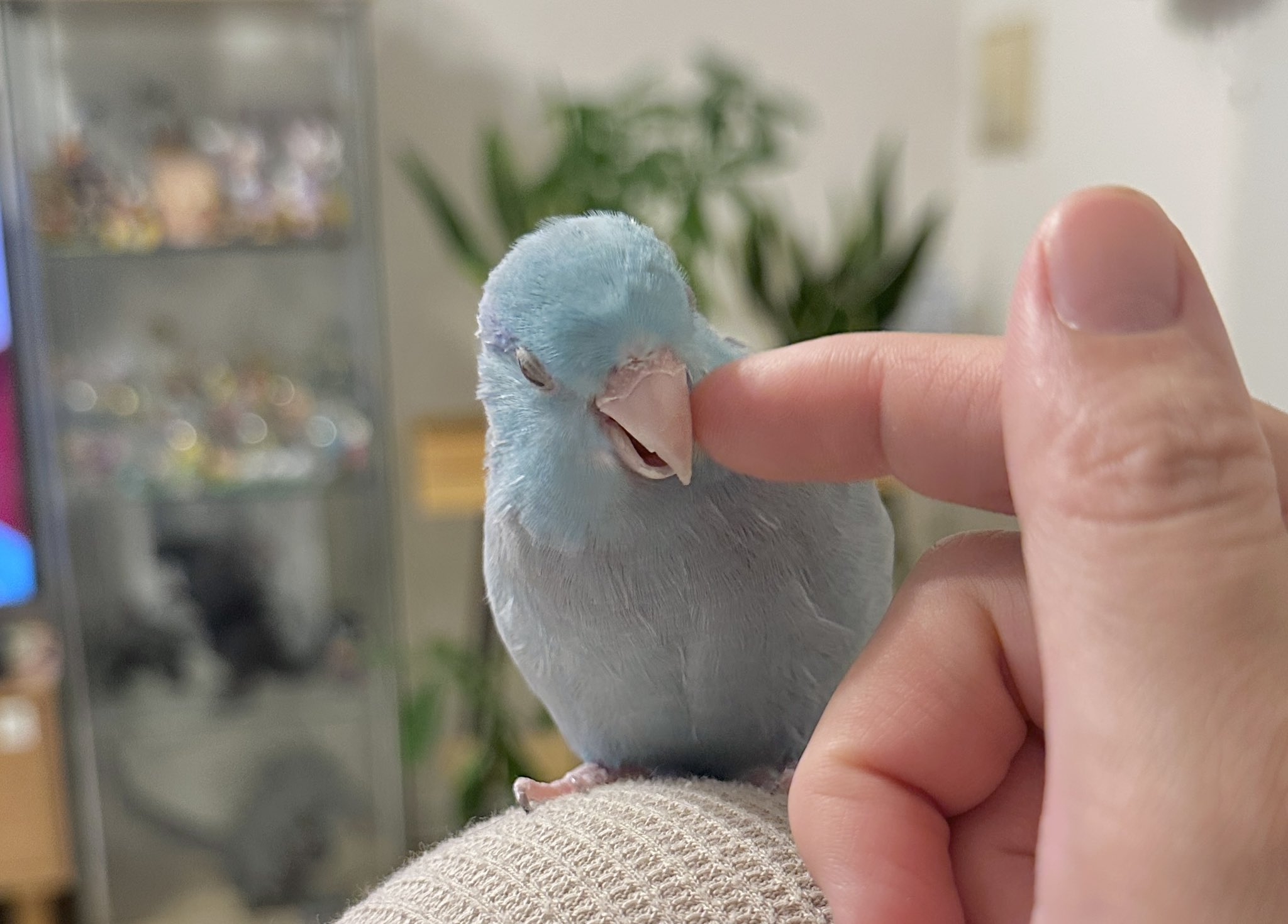 こまっちゃん ドリフト僧侶 こまっちゃん on X: 